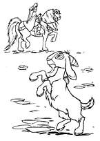 coloriage la chevre regarde le cavalier